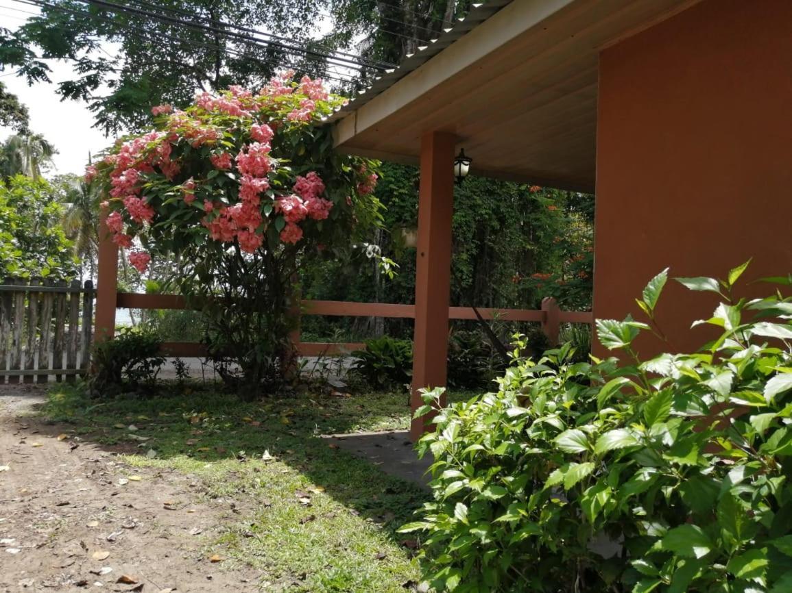 Cahuita Lodge Zewnętrze zdjęcie